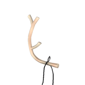 Collector's Prancer's Pride